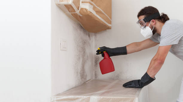 Professional Mold Remediation technician working in Jamesport, NY